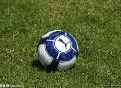 杜兰特加盟,巴黎圣日耳,领衔推动篮,开云体育,开云体育官网,开云体育app,开云体育平台,KAIYUN,SPORTS,kaiyun登录入口