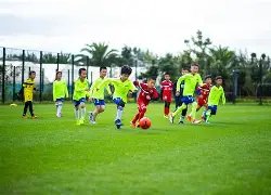 泰安窑炉设,备专用保温,陶瓷纤维,开云体育,开云体育官网,开云体育app,开云体育平台,KAIYUN,SPORTS,kaiyun登录入口