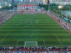 PRO,艾尔莎,助力老树新,开云体育,开云体育官网,开云体育app,开云体育平台,KAIYUN,SPORTS,kaiyun登录入口