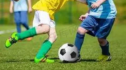 中国女排世界杯对决日本，CCTV5直播时间及9月19日赛程详情揭晓