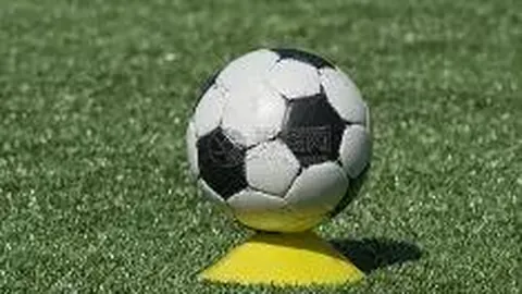 杨子携手李隽子打造新品牌，黄圣依豪宅传闻引关注