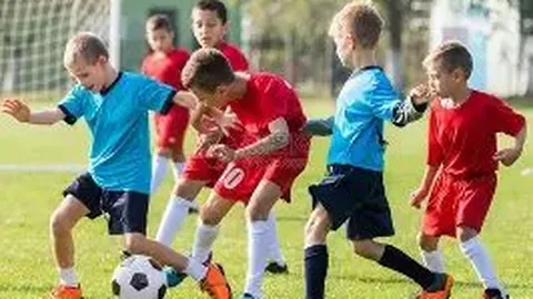 kaiyun体育手机网页版登录入口 资讯 122348 hje